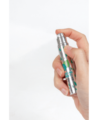 Spray Sexe Oral Menthe Haleine Fraîche 11gr Secret Play